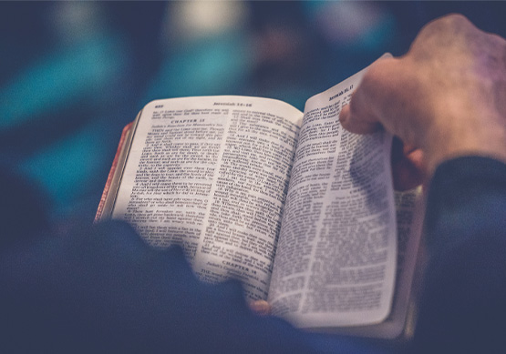 A pastor reading a page of the Bible